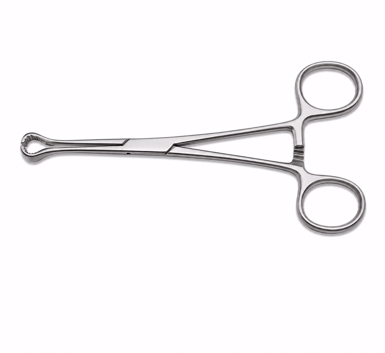 BABCOCK FORCEPS